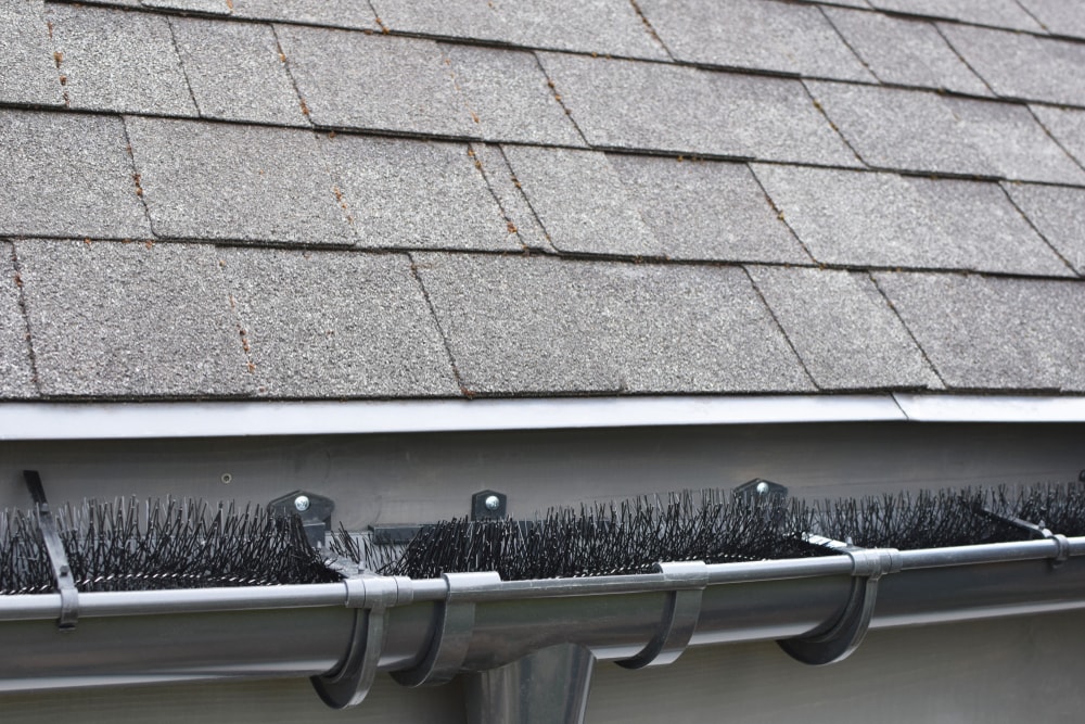 Close-up of a house roof with gray asphalt shingles and a gutter fitted with a black brush gutter guard to prevent debris from clogging the drainage system—an essential home improvement in Suffolk County, NY.