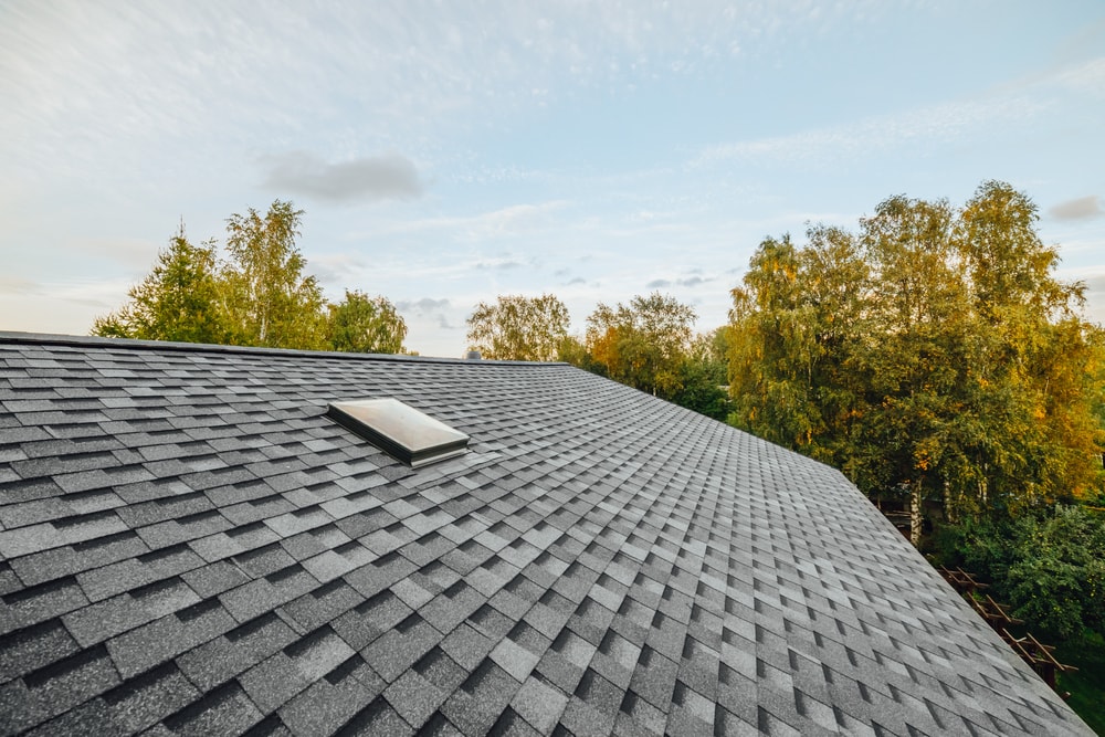 A sloped gray shingle roof with a small rectangular skylight, installed by a trusted roofing contractor Suffolk County, surrounded by tall green trees under a partly cloudy sky.