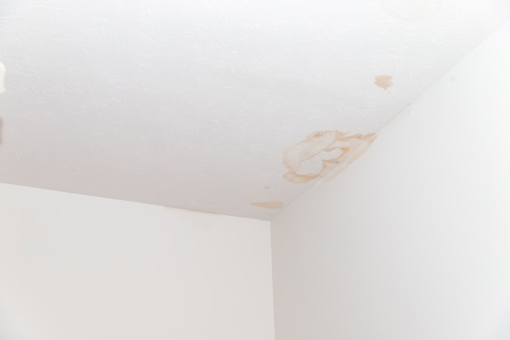 A white ceiling with several brown water stains in the corner, indicating possible water damage or a leak above. The walls are plain and light-colored—consider calling a roofing contractor Suffolk County for expert home improvement solutions.