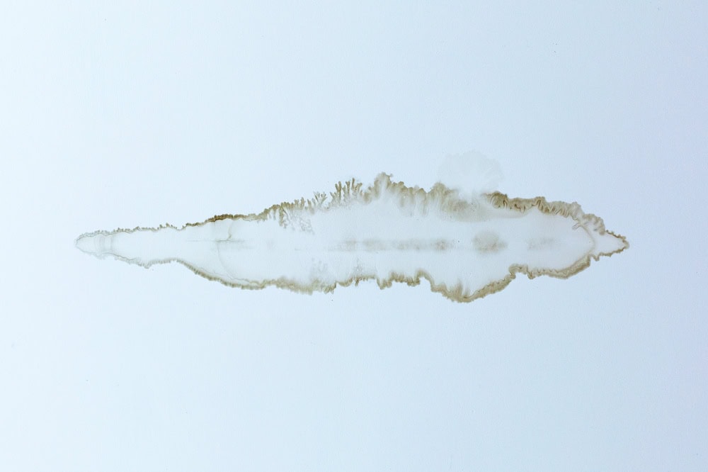 A brownish water stain in an irregular, elongated shape spreads across a white ceiling, resembling a horizontal ink blot or distant landscape—a clear sign to call a trusted roofing contractor Suffolk County for expert home improvement solutions.