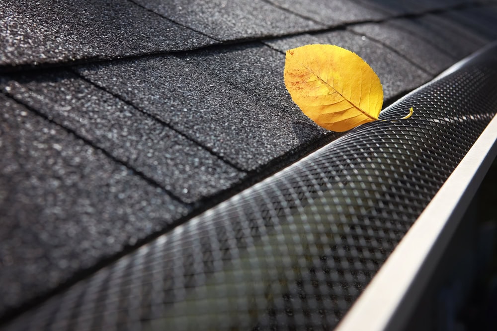 A single yellow leaf rests on a dark gray shingled roof next to a metal mesh gutter guard, capturing the attention of any home improvement Suffolk County enthusiast.
