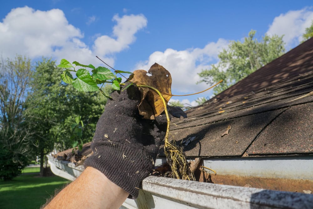 A gloved hand removes leaves and debris from a house gutter under a blue sky, with trees in the background and the roof partially visible—essential home improvement in Suffolk County, NY.